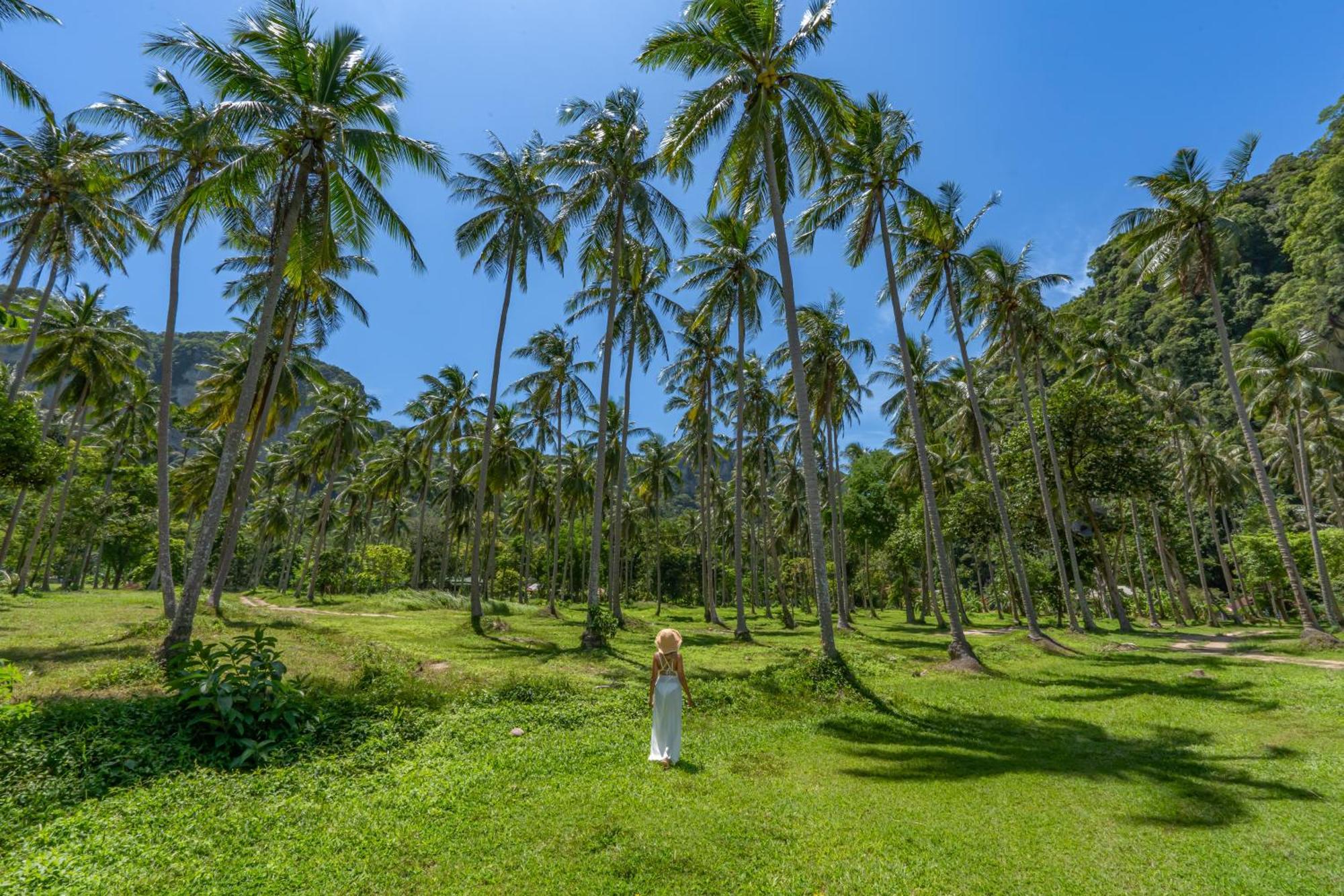 Tinidee Hideaway Tonsai Beach Krabi - Sha Extra Plus Luaran gambar